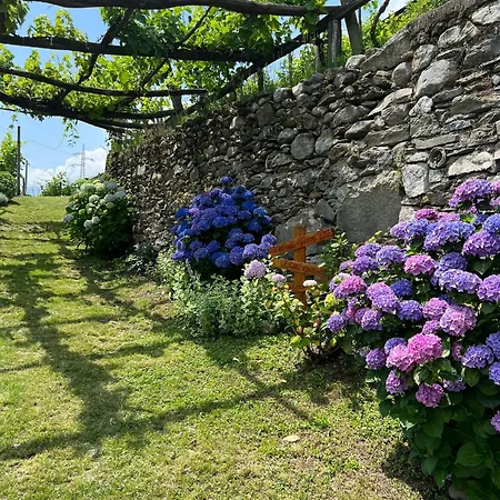 Casa Nonno Nacleto