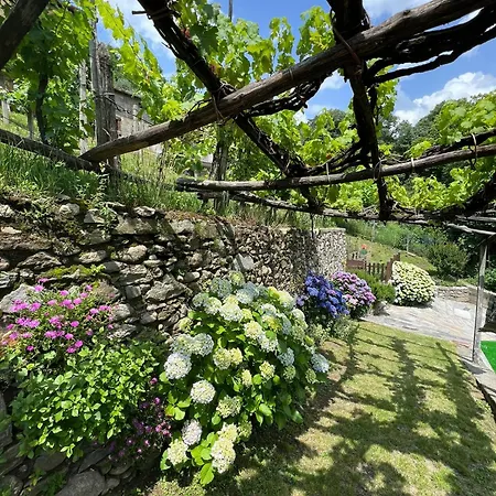 Holiday home Casa Nonno Nacleto Vercana