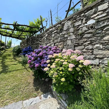 Casa Nonno Nacleto * Vercana