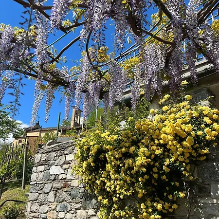 Casa Nonno Nacleto Holiday home Vercana